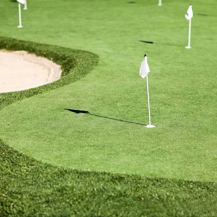 Pavers and turf in Frisco, TX