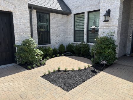 beautiful seating area with plants